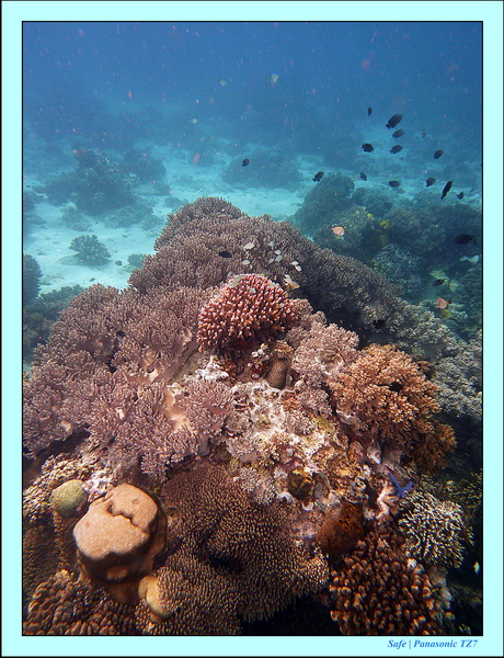 2012 - 07 - Apoh Island 45